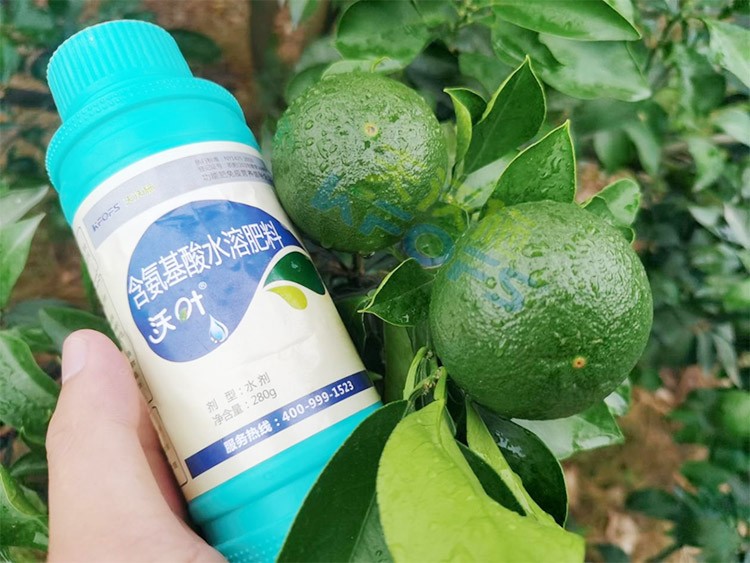 柑橘膨果轉(zhuǎn)色期用什么水溶肥好？