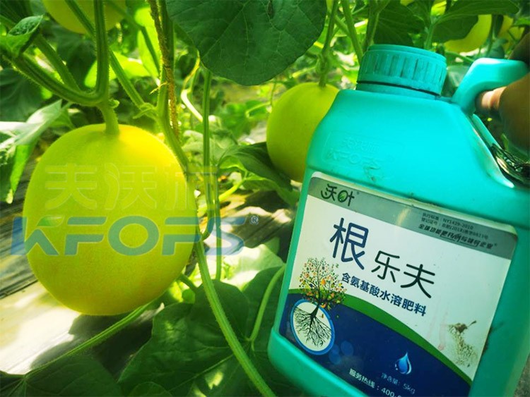 甜瓜用哪個水溶肥廠家的產(chǎn)品好？