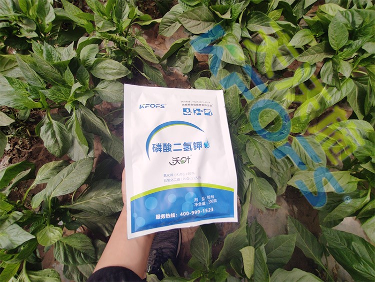 磷酸二氫鉀廠家，這家不要錯過！