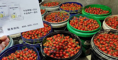 夫沃施進(jìn)口肥怎么樣？