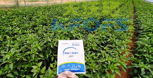 磷酸二氫鉀不好用？那是因為沒選對！
