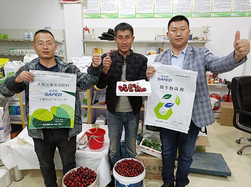 水溶肥哪家好？看完這篇不疑惑！