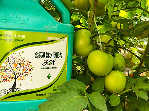 蔬菜沖施肥哪個品牌好？經(jīng)驗實談