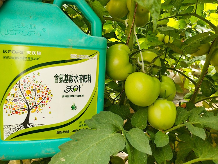 蔬菜沖施肥哪個品牌好？經(jīng)驗實談