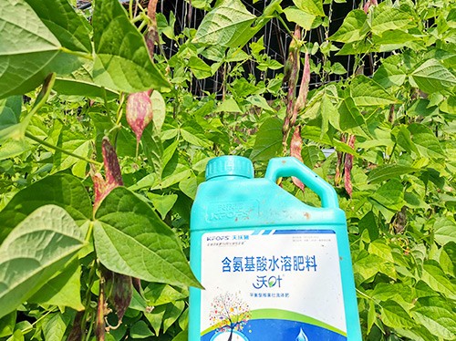 進(jìn)口水溶肥，懂行的人都這么選！