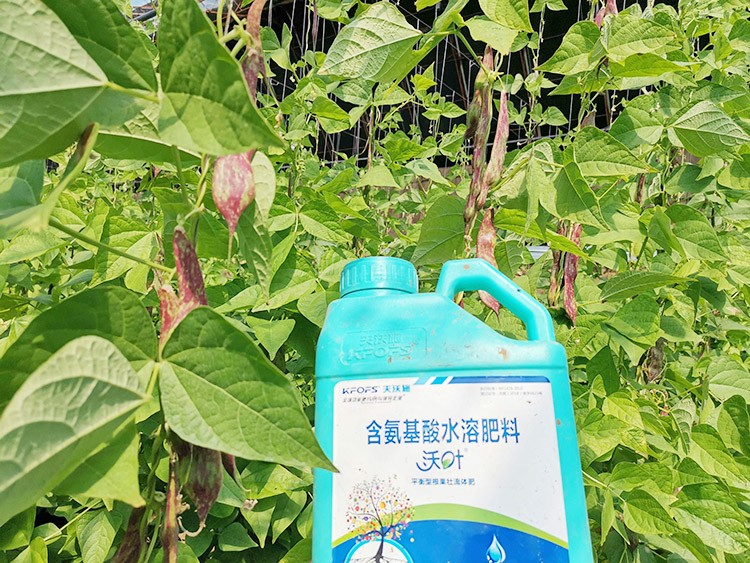 進(jìn)口水溶肥，懂行的人都這么選！