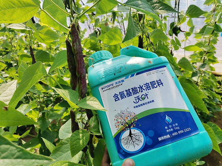 進(jìn)口水溶肥，懂行的人都這么選！