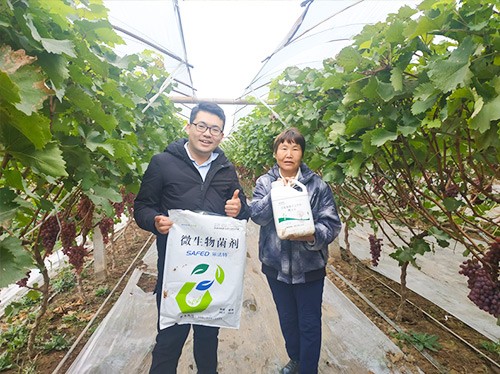 水溶肥廠家夫沃施都說好？好在哪？