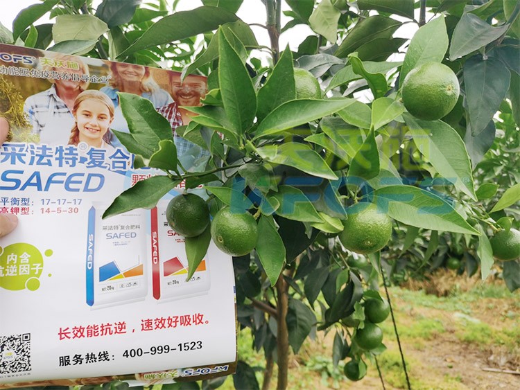 進(jìn)口水溶肥怎么選？參考這三點(diǎn)就夠了！