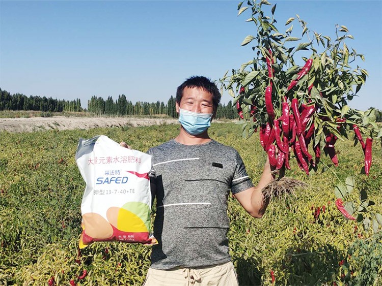 肥料廠家，有經(jīng)驗(yàn)的農(nóng)資人這樣選！