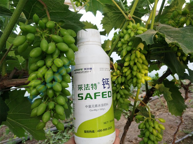 鈣肥什么品牌的比較好？
