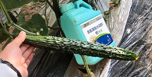 生根劑要安全不傷根，就選這個牌子！