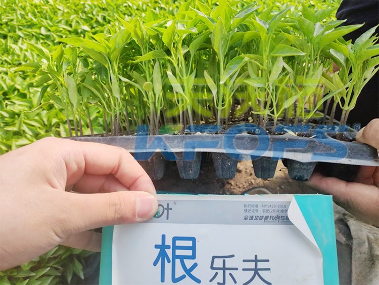 生根劑要安全不傷根，就選這個(gè)牌子！