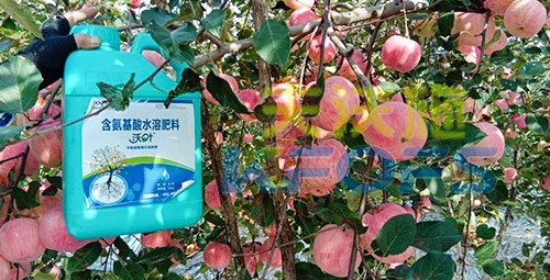 沖施肥怎么去沖施？什么牌子的好？