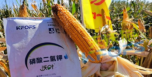 進口磷酸二氫鉀哪個品牌好？