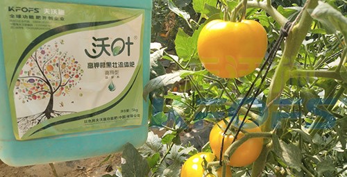 水溶肥的作用，不得不說太強(qiáng)大了！