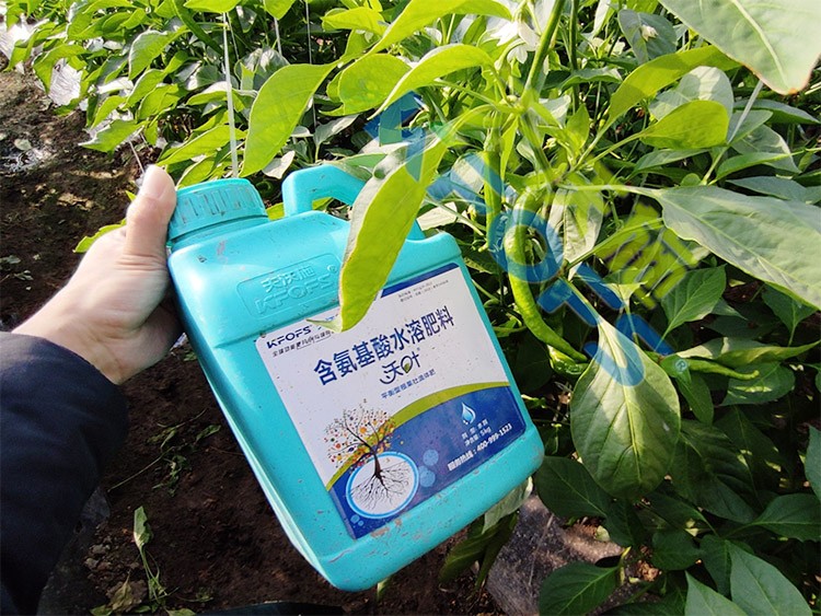 水溶肥的作用，不得不說太強大了！