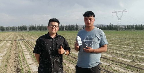 藥害還能恢復(fù)生長嗎？這篇告訴你！