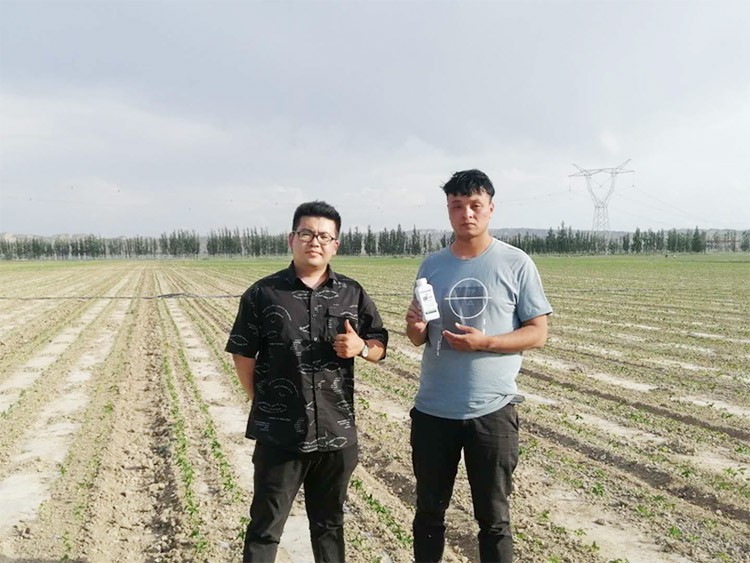 藥害還能恢復(fù)生長嗎？這篇告訴你！
