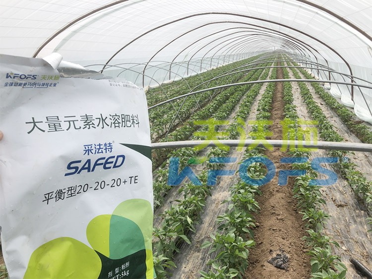 大量元素水溶肥為什么都說進口的好？