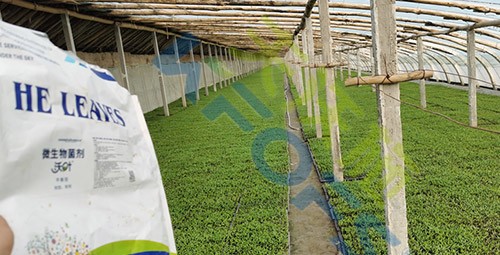 微生物菌劑廠家哪家好？