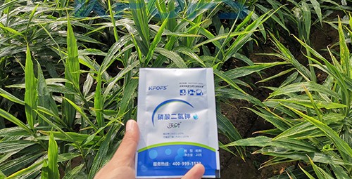 磷酸二氫鉀選這個(gè)品牌，不會(huì)錯(cuò)！