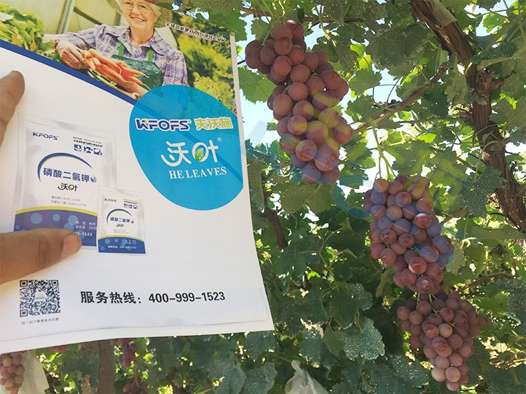 進(jìn)口磷酸二氫鉀和國產(chǎn)有什么區(qū)別？