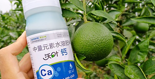 果樹補(bǔ)鈣用什么鈣肥好？