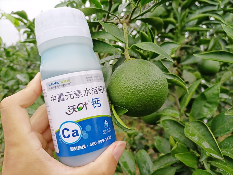 果樹補鈣用什么鈣肥好？