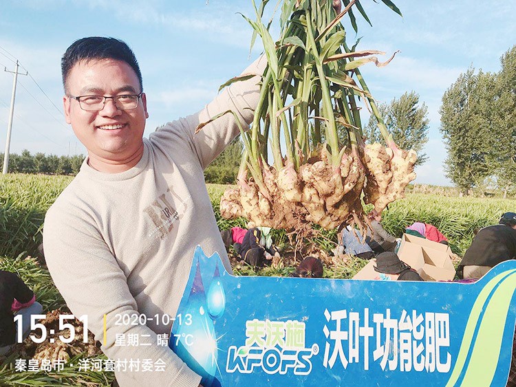 進(jìn)口水溶肥推薦你選沃葉，這就是原因！