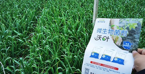 微生物菌劑選它，放心又舒心！