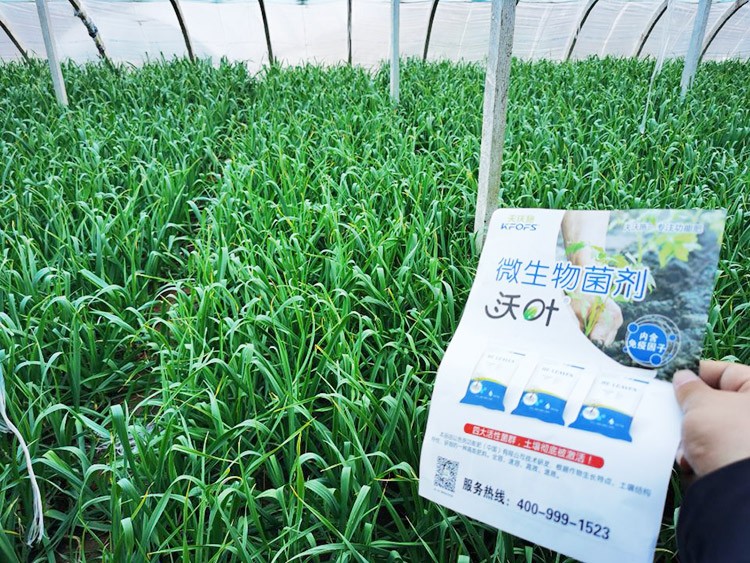 微生物菌劑選它，放心又舒心！