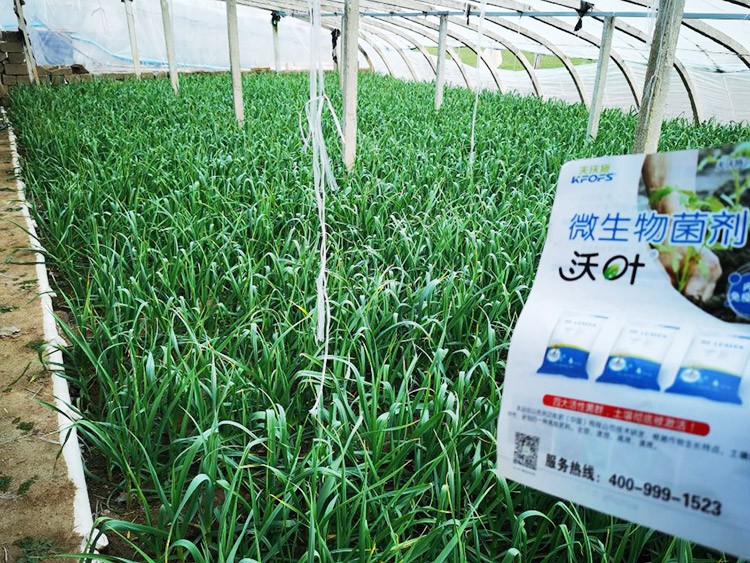微生物菌劑選它，放心又舒心！