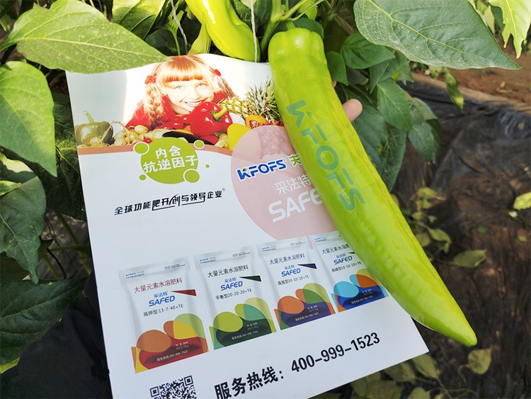 進(jìn)口水溶肥蔬菜上怎么用效果好？