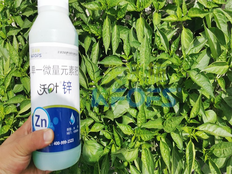 鋅肥是什么肥料？辣椒用有什么好處？