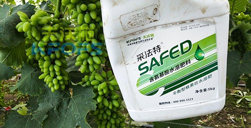進口水溶肥用這個，葡萄能增產