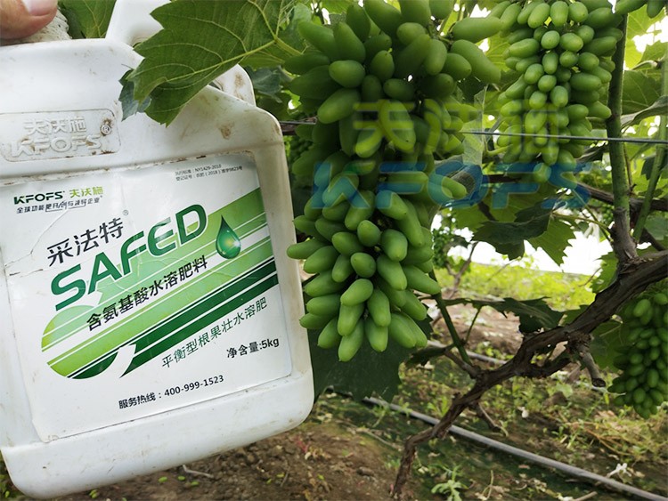 葡萄水溶肥品牌哪個好？案例告訴你！