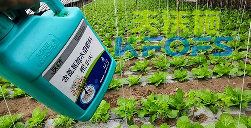 蔬菜用進(jìn)口水溶肥，有什么突出效果？