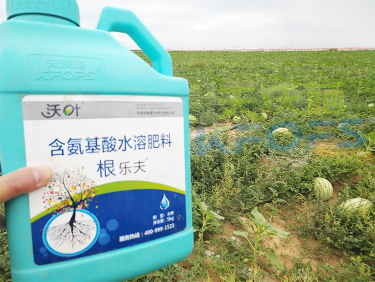 西瓜用什么進(jìn)口水溶肥好？