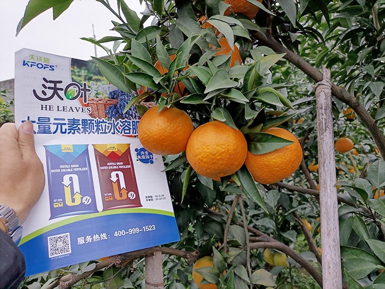果樹(shù)水溶肥什么牌子好？