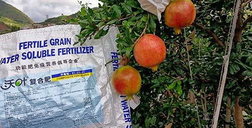 石榴施肥用什么肥料效果好？