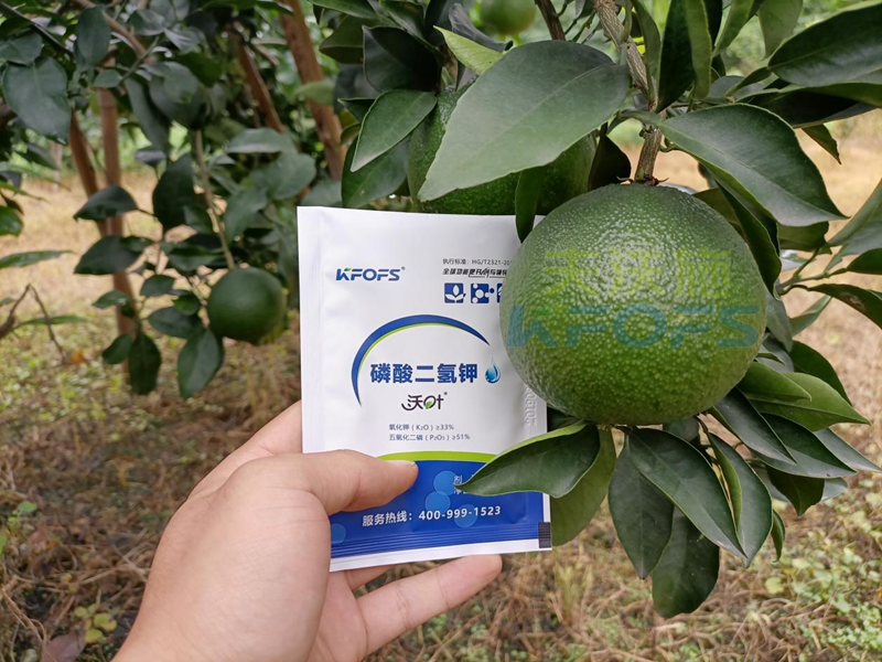 磷酸二氫鉀在果樹上使用有什么好處？