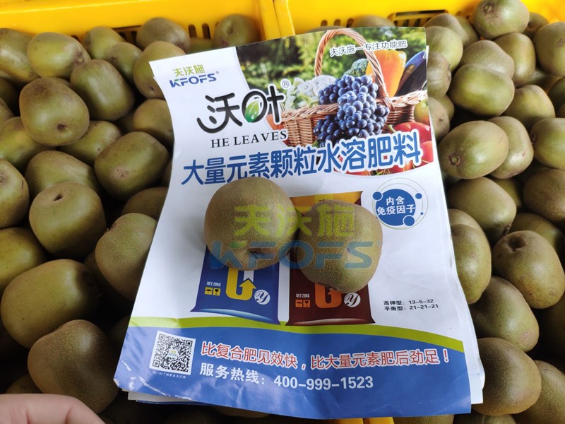 獼猴桃用哪款顆粒水溶肥產(chǎn)量高？