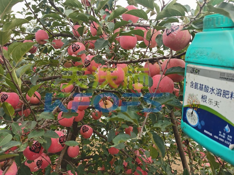 不要只關(guān)注水溶肥一袋多少錢，還有更重要的！
