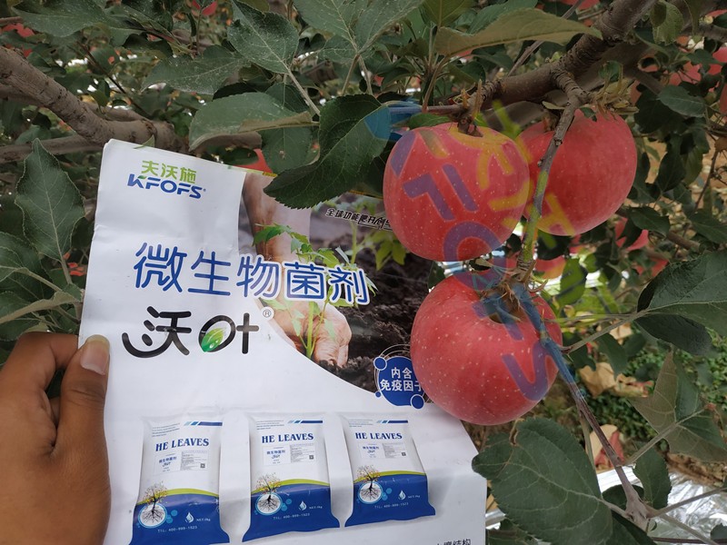 微生物菌劑，作物豐收的關(guān)鍵所在！
