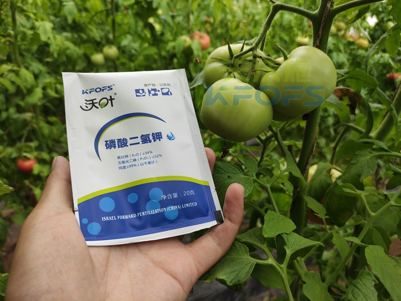 葉面肥磷酸二氫鉀，竟然這么好用！