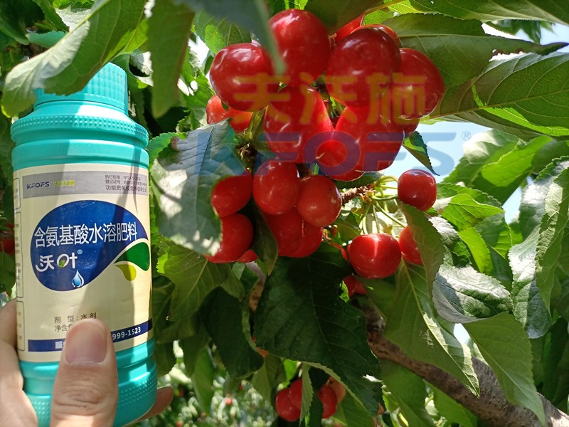 這款水溶肥，種植戶都愿意長期使用！