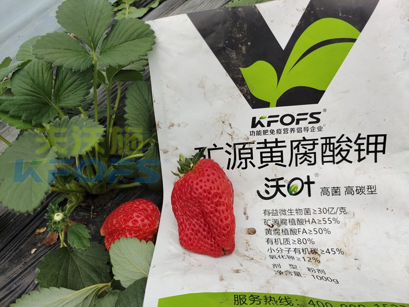 礦源黃腐酸鉀應(yīng)該怎么用？對(duì)于什么土地有效？