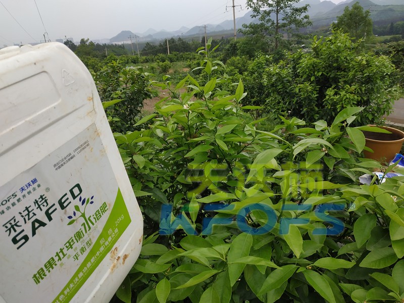 水溶肥的合理價(jià)格究竟如何判斷？這幾點(diǎn)很重要！