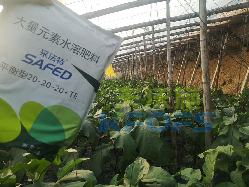 老農(nóng)資人都認準哪款大量元素水溶肥？